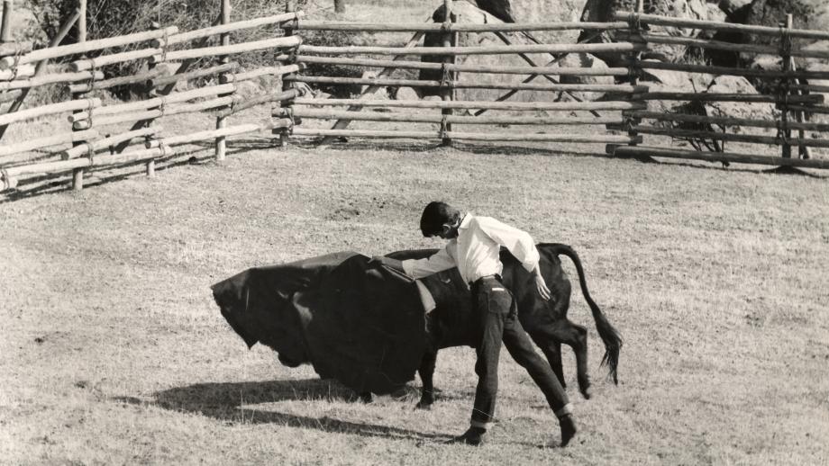 CINE ESPAÑOL : SANGRE EN EL RUEDO