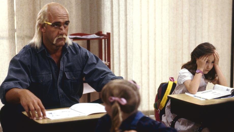 CINE FAMILIAR : MR. NANNY