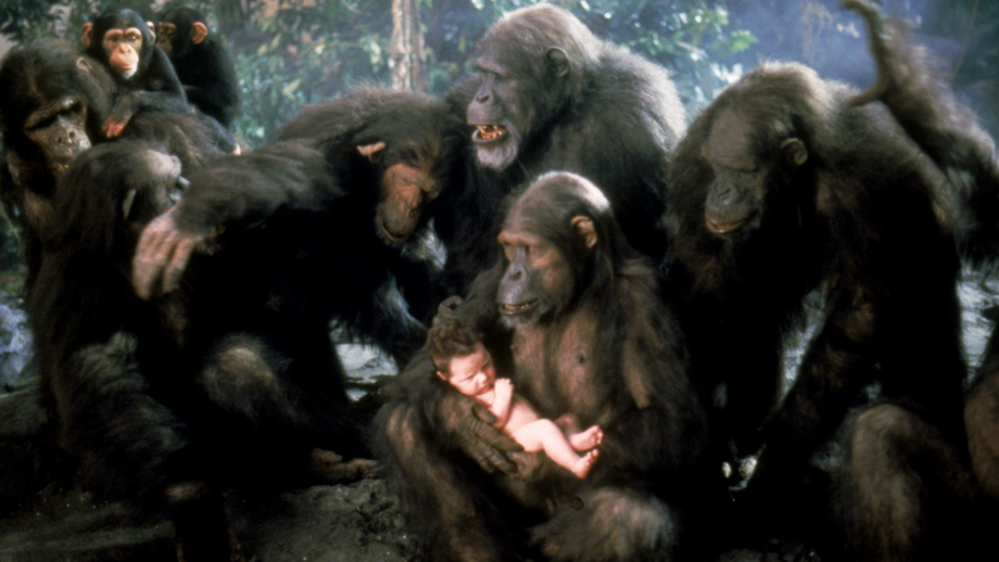 CINE FAMILIAR : GREYSTOKE, LA LEYENDA DE TARZAN, EL REY DE LOS MONOS