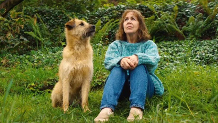 CINE FAMILIAR: ROISE Y FRANK