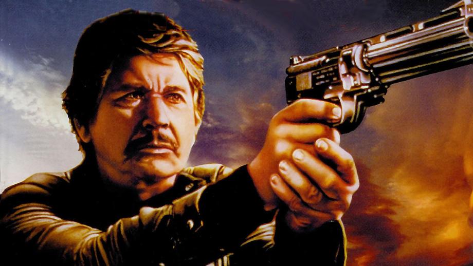 CINE: EL JUSTICIERO DE LA NOCHE